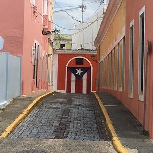 Meet your Posher, Dinorah